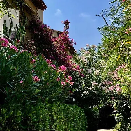 Saint Tropez, En Front De