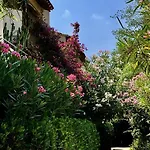 Saint Tropez, En Front De