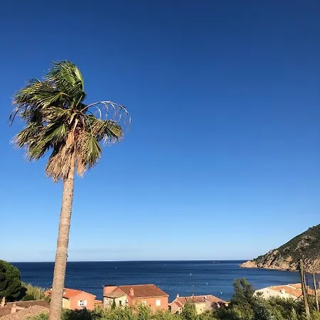 Lägenhet Saint Tropez, En Front De