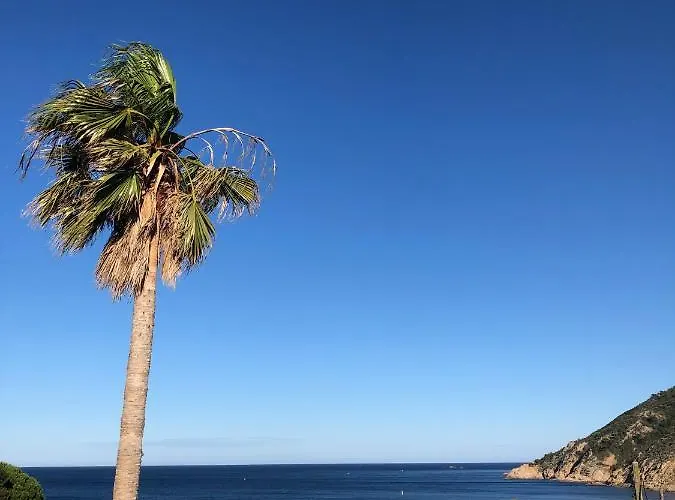 דירה Saint Tropez, En Front De