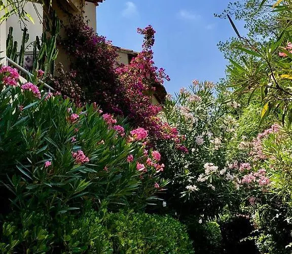 Saint Tropez, En Front De